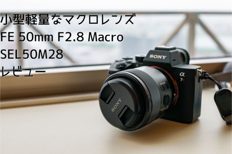 ポイント5倍 ソニー / マクロ / フルサイズ / FE 50mm F2.8 Macro
